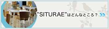 "SITURAE"͂ǂȂƂH